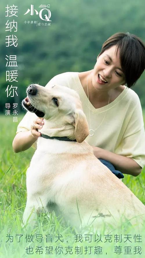 ScuoladiMusicadiFermore社会学文凭证书
